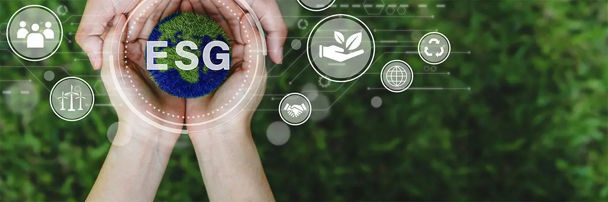 sustainable marketing - Por qué es importante el marketing de sostenibilidad