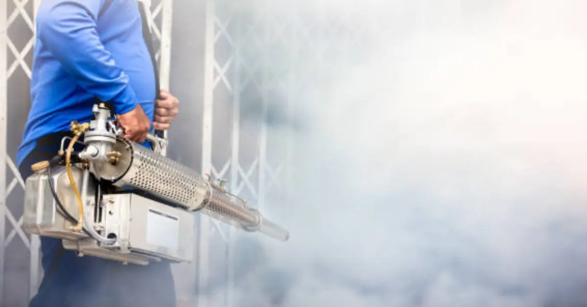 publicidad fumigaciones - Por qué es importante la fumigación