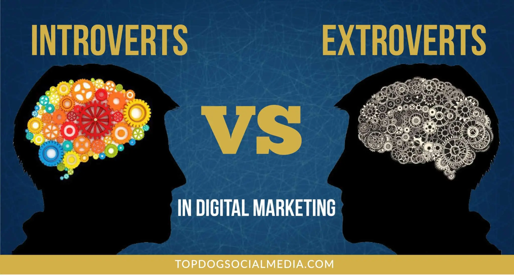 Administración de Marketing: Una Profesión para Introvertidos - Puede un introvertido ser un marketer digital administracion de marketing profesion para introvertidos - Puede un introvertido ser un marketer digital
