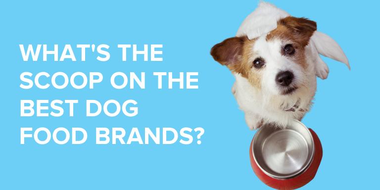 Royal Canin: Publicidad, Productos y Comparativa con otras Marcas - Qué alimento es igual a Royal Canin publicidad royal canin - Qué alimento es igual a Royal Canin