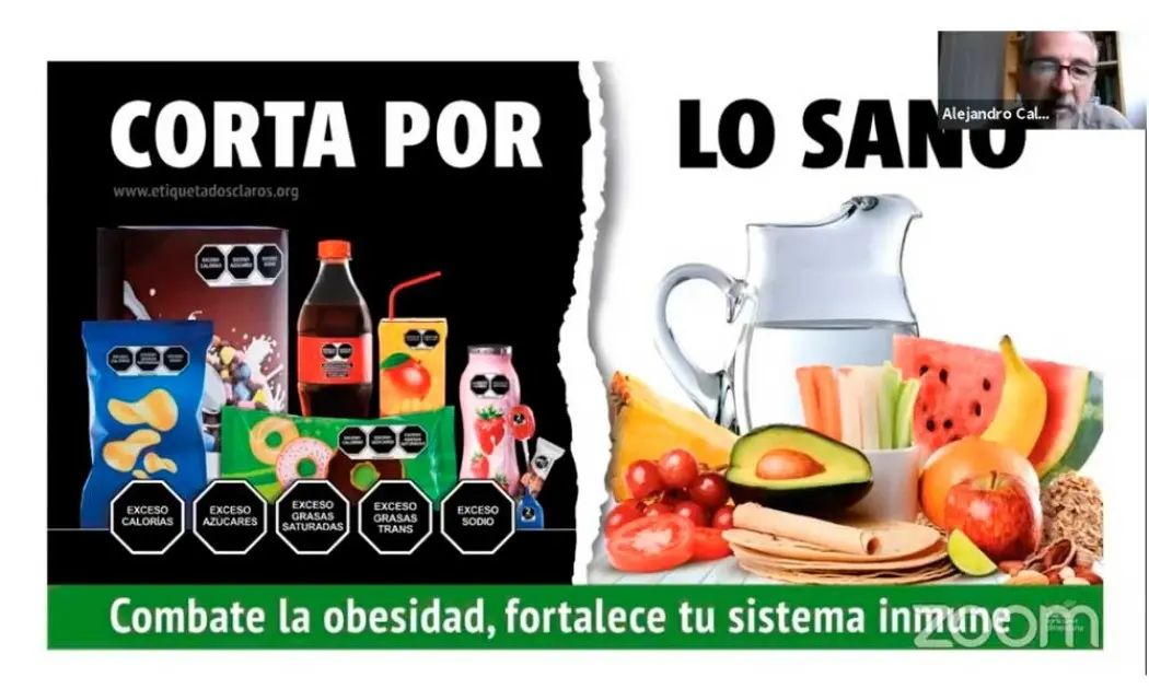 Publicidad de Alimentos Ultraprocesados: Un Análisis de sus Estrategias y su Impacto en la Salud - Qué alimentos son ultra procesados publicidad de alimentos ultraprocesados - Qué alimentos son ultra procesados