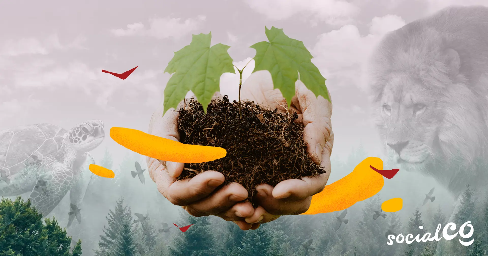Anuncios publicitarios sobre el medio ambiente: Una guía completa - Qué campañas o propagandas harías para mejorar el medio ambiente anuncios publicitarios sobre el medio ambiente - Qué campañas o propagandas harías para mejorar el medio ambiente