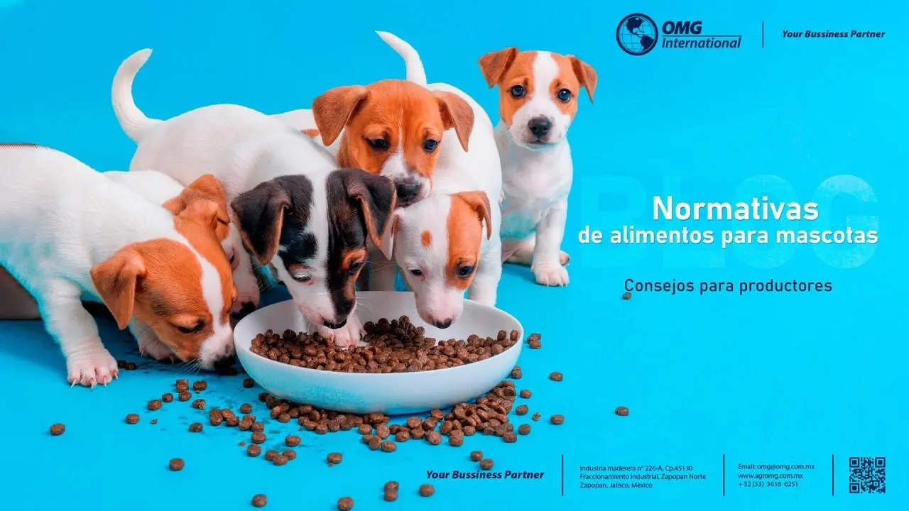 Anuncios Publicitarios de Comida para Perros Kenell: Guía SEO - Qué comida de perro se vende más anuncios publicitarios de comida para perros kenell - Qué comida de perro se vende más