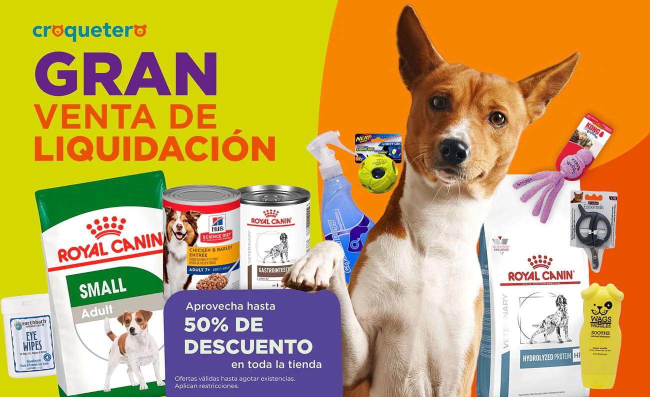 Alimentos para perros: Guía completa para una alimentación saludable - Qué comida es buena para perros marcas publicidad alimento para mascotas - Qué comida es buena para perros marcas