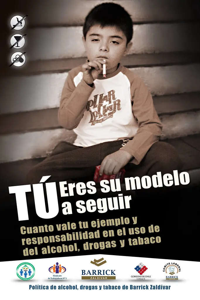Publicidad de Tabaquismo y Alcoholismo: Daños y Consecuencias - Qué daños provoca el alcoholismo y el tabaquismo publicidad de tabaquismo y alcoholismo - Qué daños provoca el alcoholismo y el tabaquismo