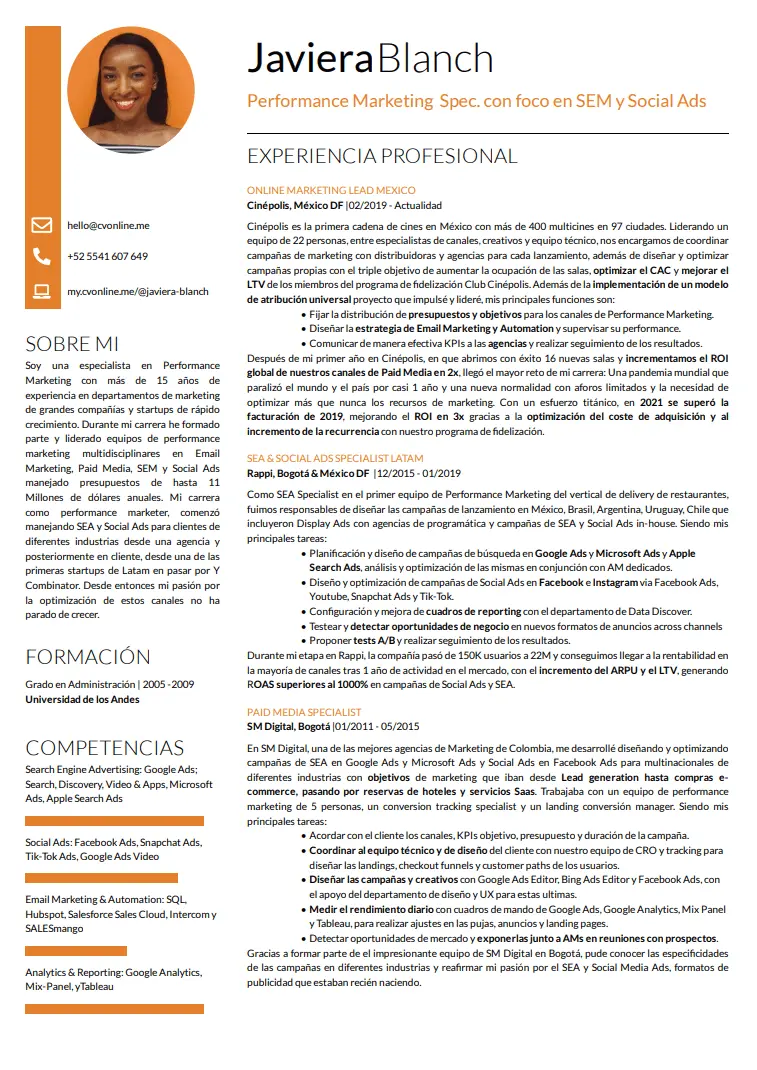 cv perfil marketing - Qué debo poner en el perfil de mi CV