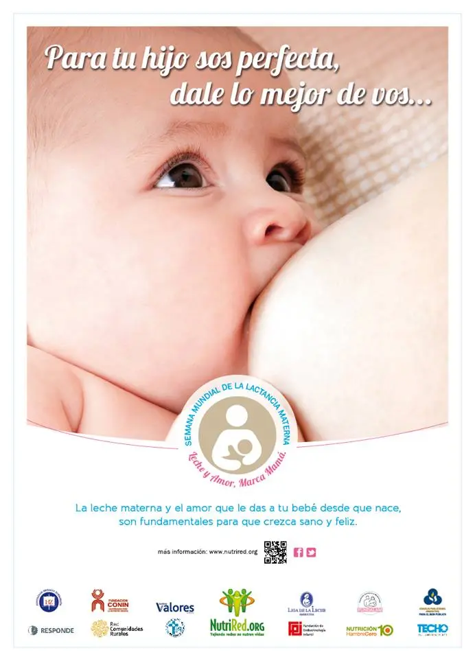 publicidad lactancia - Qué dice la ley 3460 sobre la lactancia materna