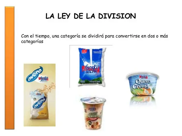 Ley de la División del Marketing: Una Guía Completa - Qué dice la ley de la división ley de la división marketing - Qué dice la ley de la división