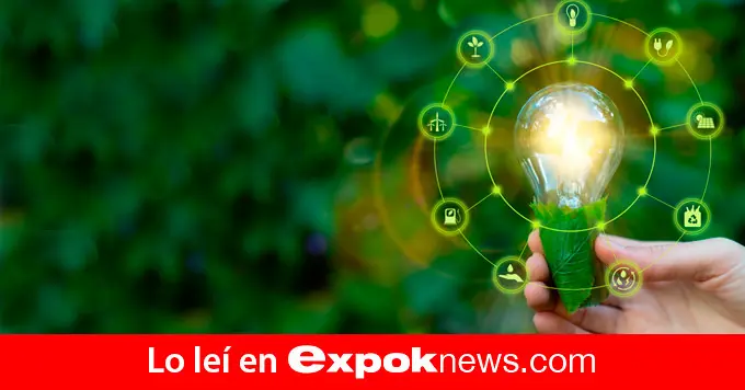 Empresas con Marketing Ecológico: Liderando la Sustentabilidad en México - Qué empresas ayudan con el medio ambiente empresas con marketing ecologico - Qué empresas ayudan con el medio ambiente