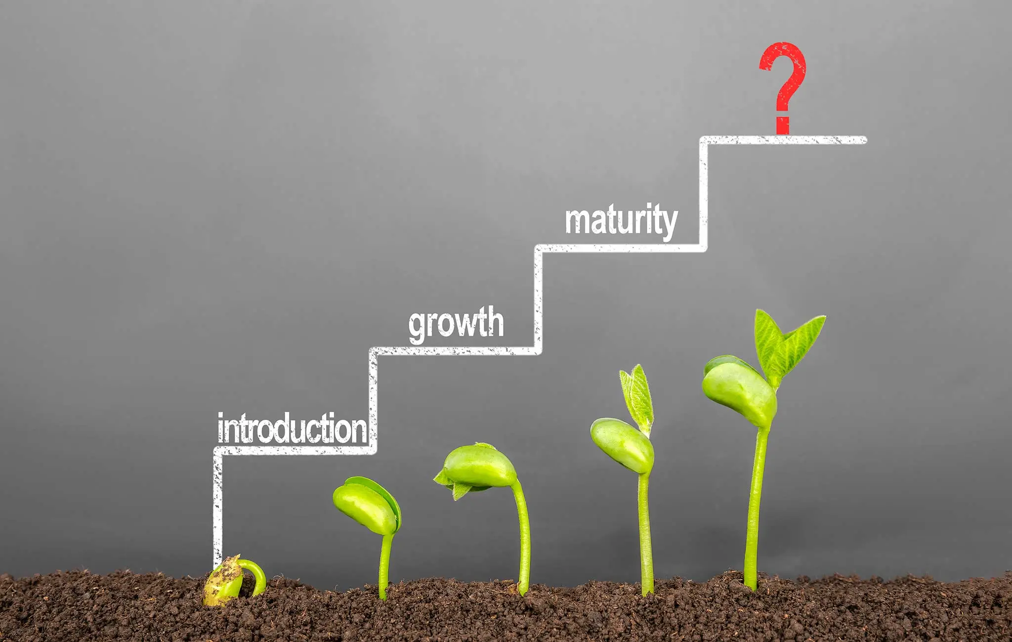 Ciclo de Vida de un Producto en Marketing: Guía Completa para el Éxito - Qué es el ciclo de vida del producto en marketing con ejemplos marketing ciclo de vida de un producto - Qué es el ciclo de vida del producto en marketing con ejemplos