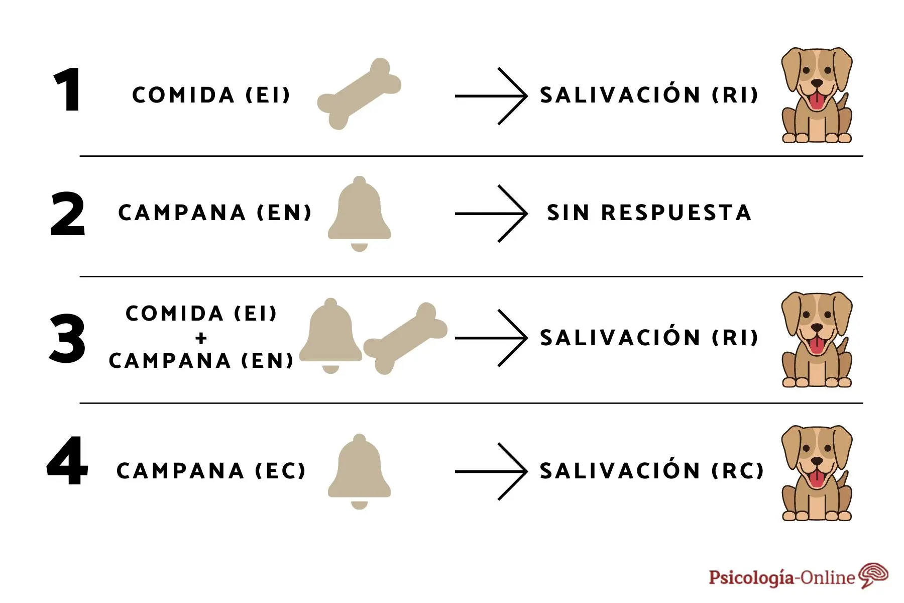 Condicionamiento Clásico: Ejemplos en Marketing y Publicidad - Qué es el condicionamiento y ejemplos condicionamiento clasico ejemplos marketing - Qué es el condicionamiento y ejemplos