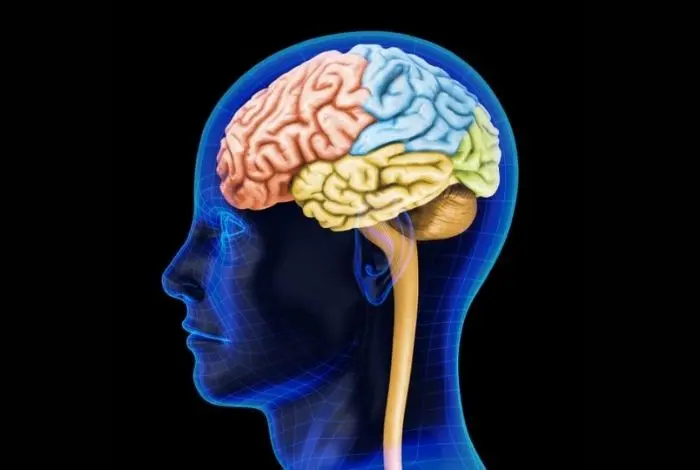 Umbral de Percepción en Marketing: Cómo Capturar la Atención del Consumidor - Qué es el efecto umbral en la publicidad umbral de percepcion marketing - Qué es el efecto umbral en la publicidad
