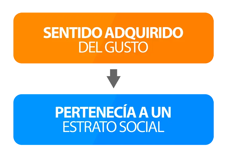 Definición de Estatus en Marketing: Más Allá de la Riqueza - Qué es el estatus en marketing definicion de estatus marketing - Qué es el estatus en marketing