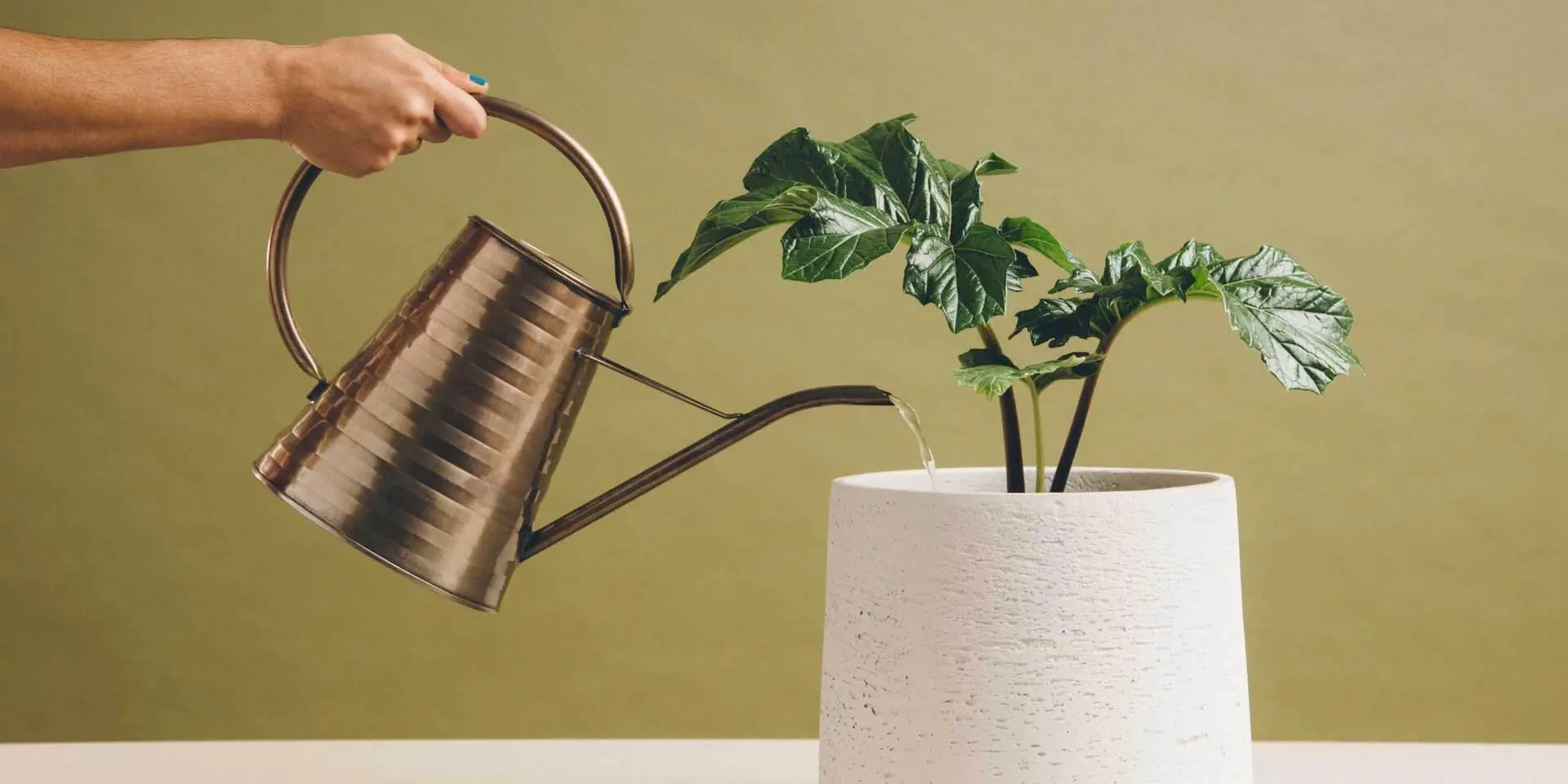 <b>Estilo de vida</b> y publicidad: Clave para el éxito en el marketing actual - Qué es el estilo de vida del cliente estilo de vida publicidad - Qué es el estilo de vida del cliente