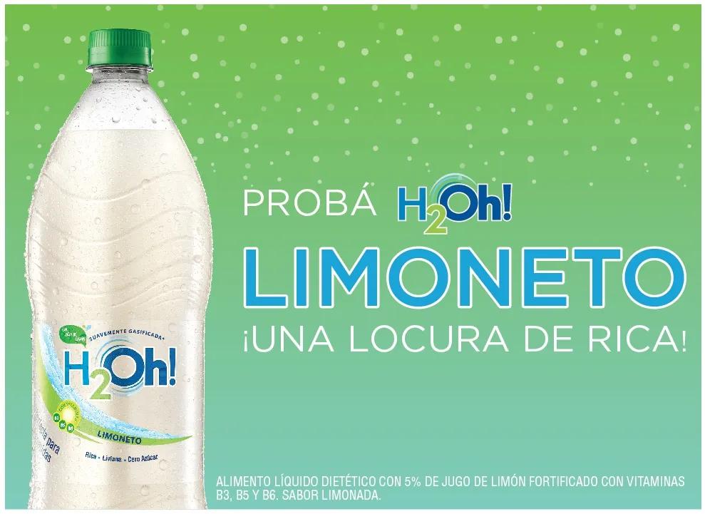 Publicidad de Limoneto: Guía Completa para una Campaña Exitosa - Qué es el limoneto publicidad de limoneto - Qué es el limoneto