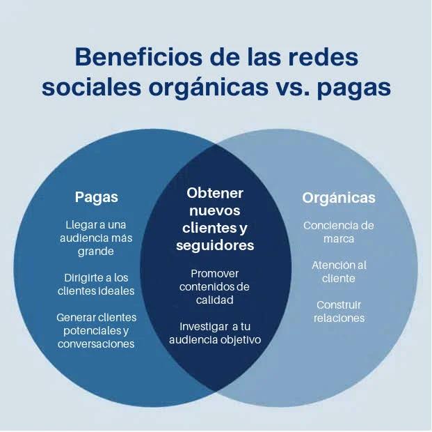 Publicidad Orgánica: La Clave para un Crecimiento Sostenible - Qué es el marketing orgánico publicidad organica - Qué es el marketing orgánico