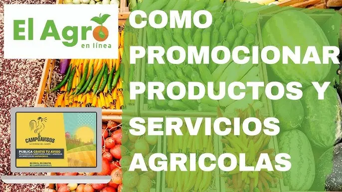 Publicidad de productos agrícolas: Guía completa para el éxito - Qué es el mercadeo de productos agrícolas publicidad de productos agricolas - Qué es el mercadeo de productos agrícolas