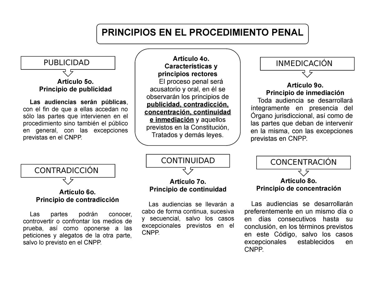 Principios Rectores del Sistema Penal Acusatorio - Qué es el principio de continuidad e inmediación publicidad contradicción concentración continuidad e inmediación - Qué es el principio de continuidad e inmediación