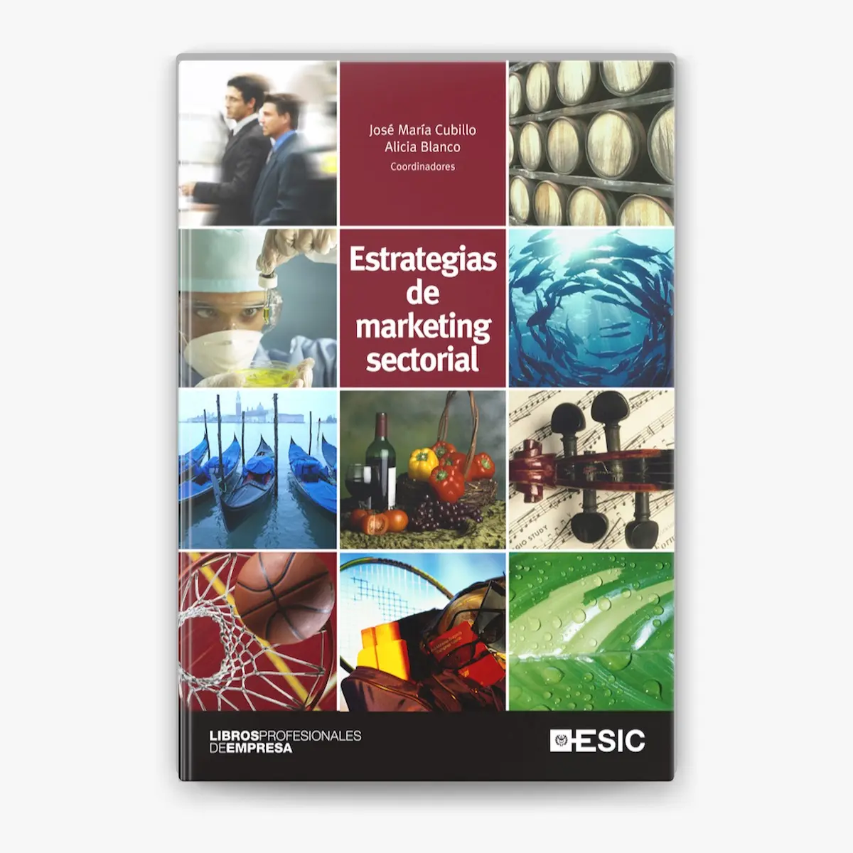 Estrategias de Marketing Sectorial: Guía Completa para el Éxito - Qué es el sector en marketing estrategias de marketing sectorial - Qué es el sector en marketing