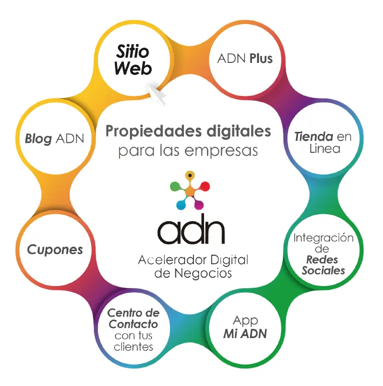 agencia de marketing digital adn - Qué es el sitio ADN