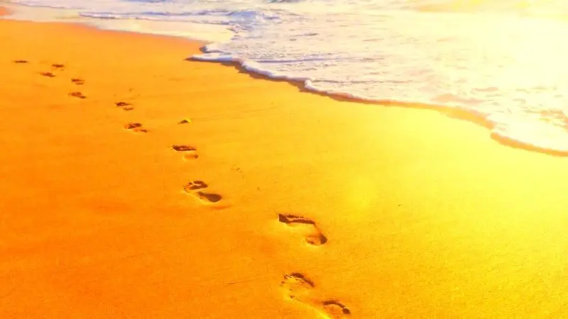 Footprint Marketing: La Guía Definitiva para Optimizar tu Búsqueda - Qué es footprint footprint marketing - Qué es footprint