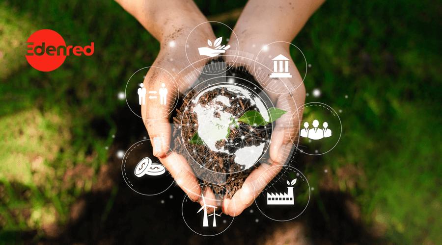 Sustentabilidad en Marketing: Una Guía Completa para Empresas - Qué es la estrategia de sustentabilidad sustentabilidad marketing - Qué es la estrategia de sustentabilidad