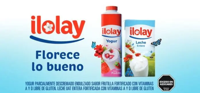 Ilolay Publicidad: Estrategias de una Marca Icónica - Qué es la flor del Ilolay ilolay publicidad - Qué es la flor del Ilolay