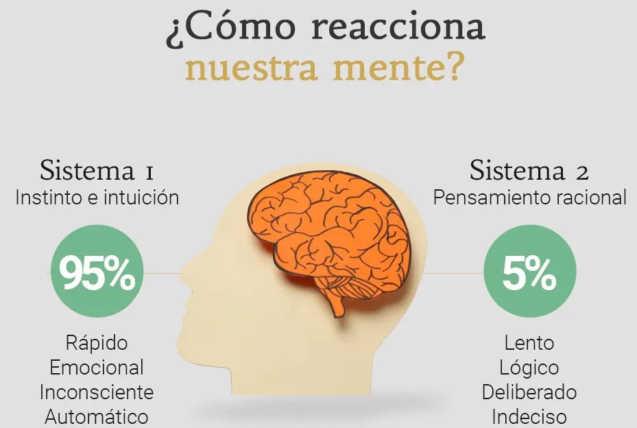 Cómo funciona el inconsciente en el marketing - Qué es la neurociencia en marketing como funciona el inconsciente en el marketing - Qué es la neurociencia en marketing