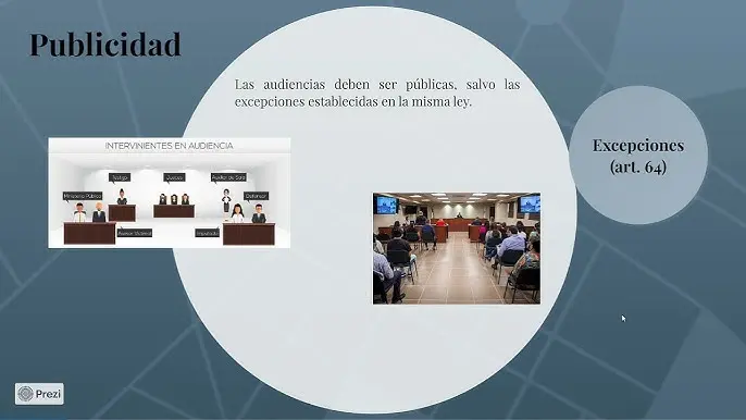 Principio de Publicidad en el Proceso Penal - Qué es la publicidad en el proceso penal principio de publicidad en el proceso penal - Qué es la publicidad en el proceso penal