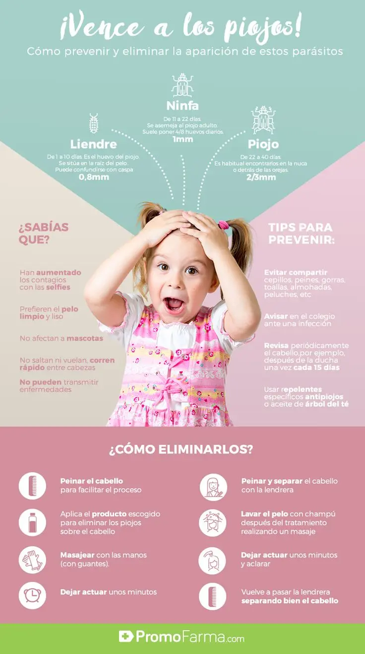 Publicidad de Piojos: Guía Completa para la Prevención y Tratamiento - Qué es lo que no soportan los piojos publicidad de piojos - Qué es lo que no soportan los piojos