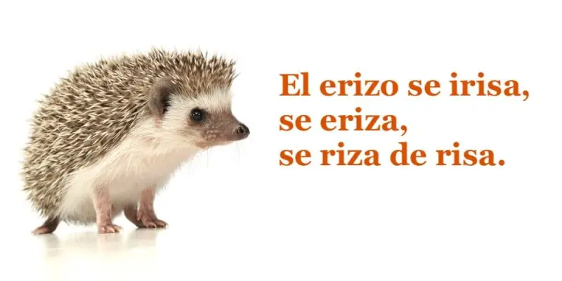 Paronomasia en Publicidad: El Poder del Juego de Palabras - Qué es paronomasia y ejemplos paronomasia en publicidad - Qué es paronomasia y ejemplos