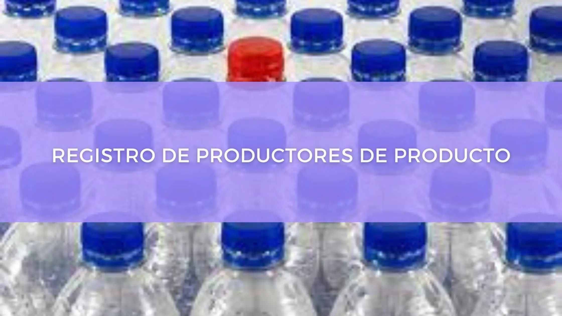 El Poder del RSS en el Marketing Digital: Una Guía Completa para 2024 - Qué es RPP en marketing snr marketing - Qué es RPP en marketing