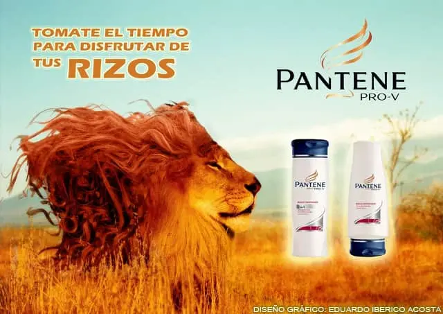 Publicidad y Texto Expositivo: Una Combinación Poderosa - Qué es texto publicitario y ejemplos publicidad texto expositivo - Qué es texto publicitario y ejemplos