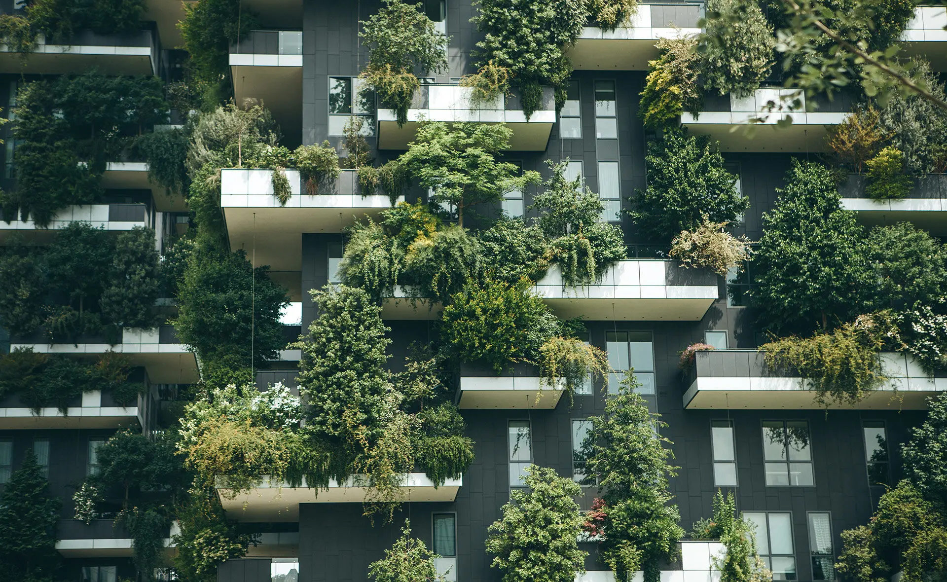 como hacer marketing de cabañas sustentables - Qué es un alojamiento sustentable