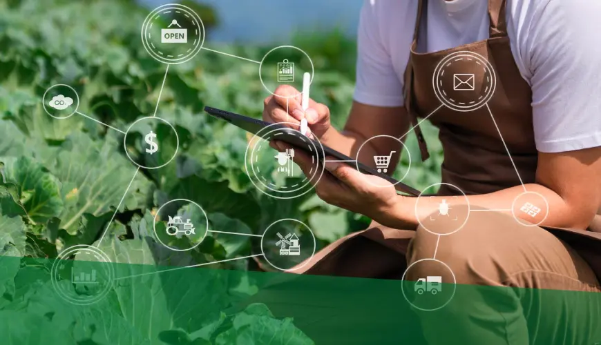 Curso de Marketing Agropecuario: Guía Completa para el Éxito - Qué es un curso agropecuario curso de marketing agropecuario - Qué es un curso agropecuario