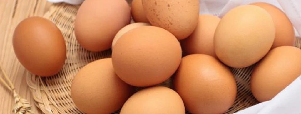 Publicidad para la Venta de Huevos: Guía Completa para el Éxito - Qué es un huevo comercial publicidad de venta de huevos - Qué es un huevo comercial