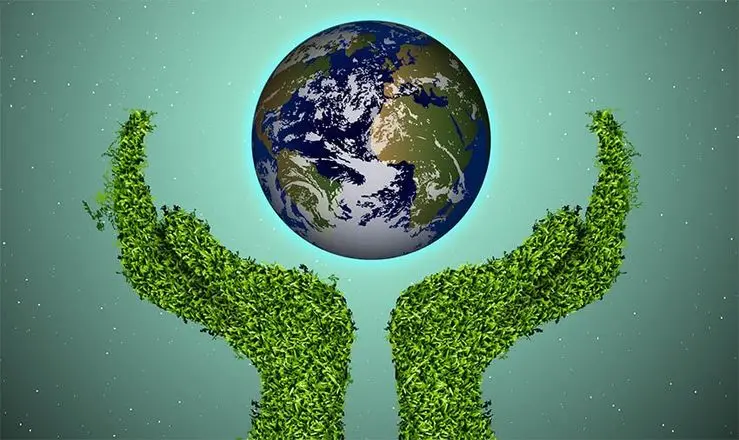 Qué es el Marketing Verde: Una Guía Completa - Qué es un mercado verde y para qué sirve que es el marketing verde - Qué es un mercado verde y para qué sirve