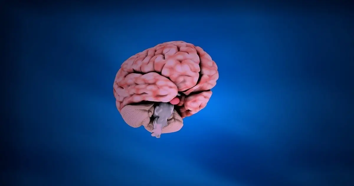 Publicidad Cognitiva: Un Viaje al Interior de la Mente del Consumidor - Qué es un producto cognitivo publicidad cognitiva - Qué es un producto cognitivo