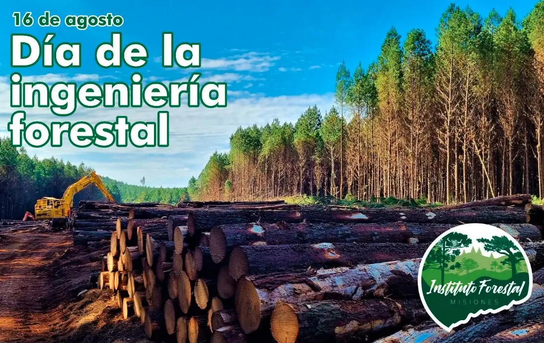 Anuncios en Forestación Misiones: Guía Completa para Proyectos de Reforestación - Qué es un proyecto de forestación anuncios en forestación misiones - Qué es un proyecto de forestación