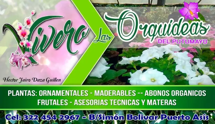 Publicidad para Viveros: Guía Completa para Atraer Clientes - Qué es un vivero de emprendimiento publicidad vivero - Qué es un vivero de emprendimiento