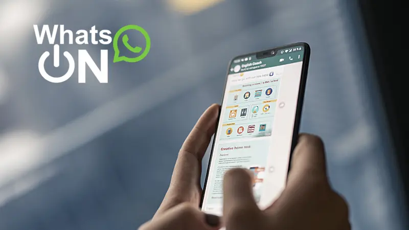 whatsapp marketing software - Qué es WhatsOn
