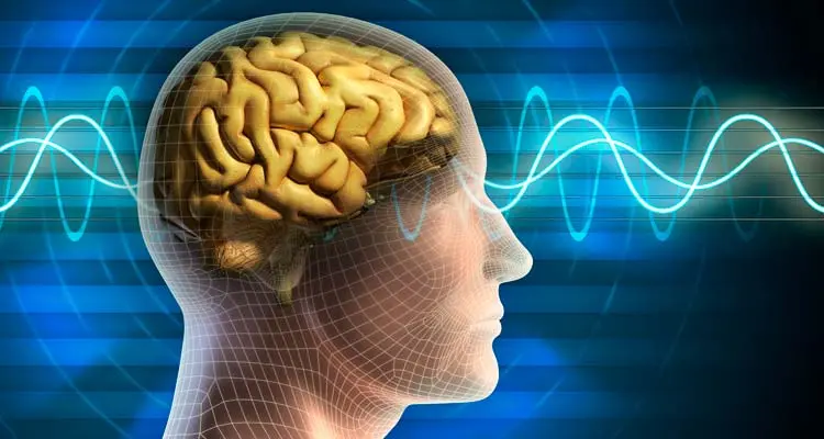 Anuncios Grabados con Procesos Psicoacústicos: Inmersión en la Mente del Consumidor - Qué estudia la psicoacústica anuncios grabados con procesos psicoacústicos - Qué estudia la psicoacústica