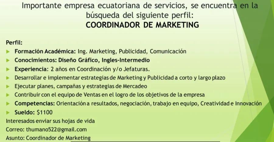 Coordinador de Marketing Digital: Funciones y Responsabilidades - Qué hace un coordinador de marketing digital coordinador de marketing digital funciones - Qué hace un coordinador de marketing digital
