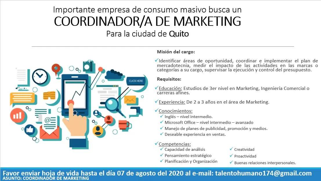 Coordinador de Marketing Digital: Funciones y Responsabilidades - Qué hace un coordinador digital coordinador de marketing digital funciones - Qué hace un coordinador digital