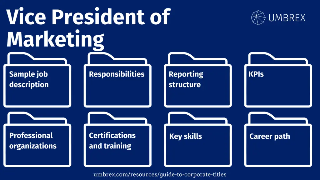 vice president marketing - Qué hace un vicepresidente de marketing