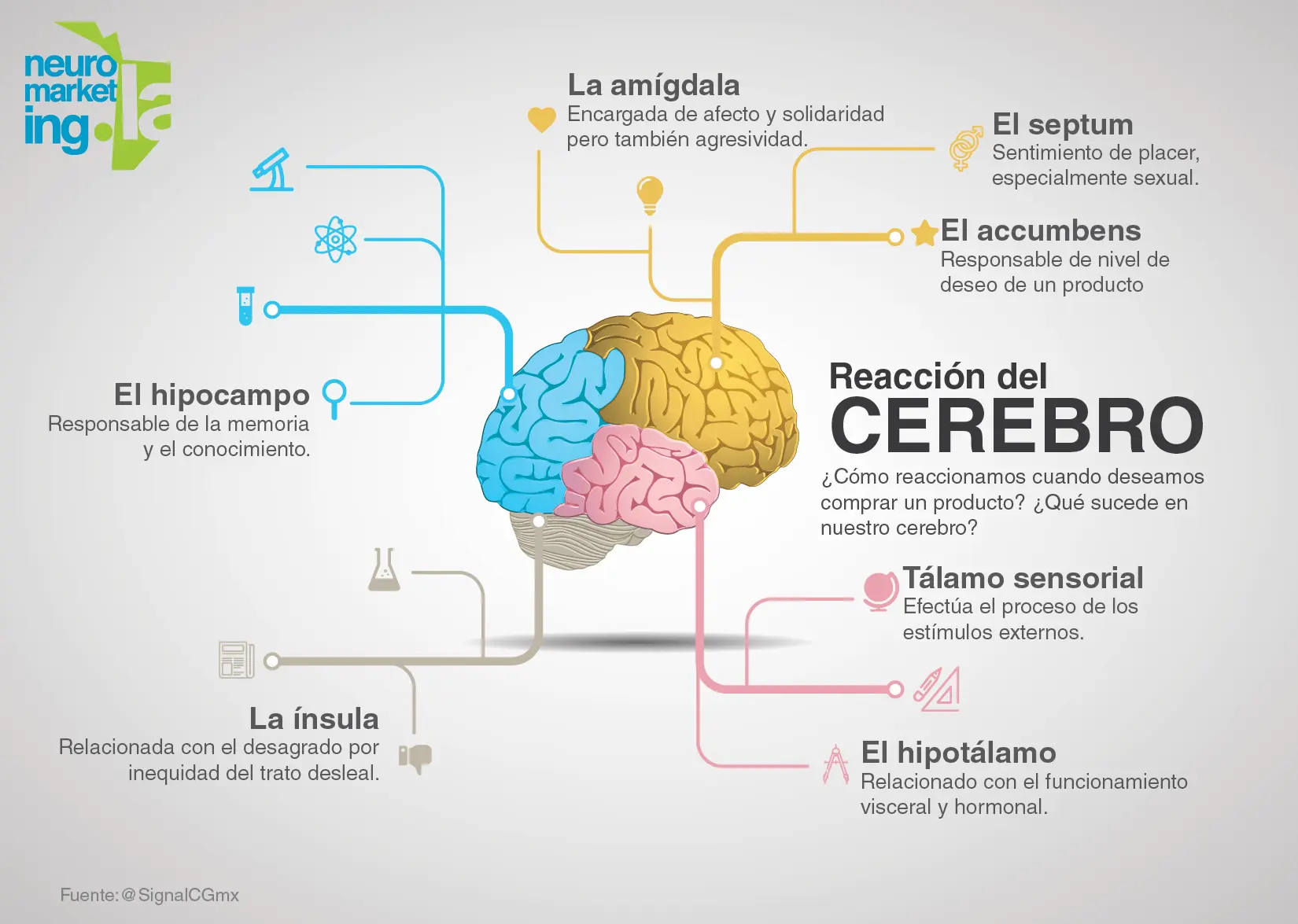 Cómo influye la publicidad en el cerebro - Qué le hace la publicidad a tu cerebro como influye la publicidad en el cerebro - Qué le hace la publicidad a tu cerebro