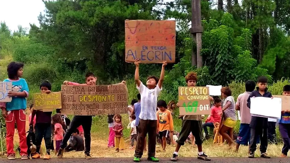 Anuncios en Forestación Misiones: Guía Completa para Proyectos de Reforestación - Qué maderas se producen en misiones anuncios en forestación misiones - Qué maderas se producen en misiones