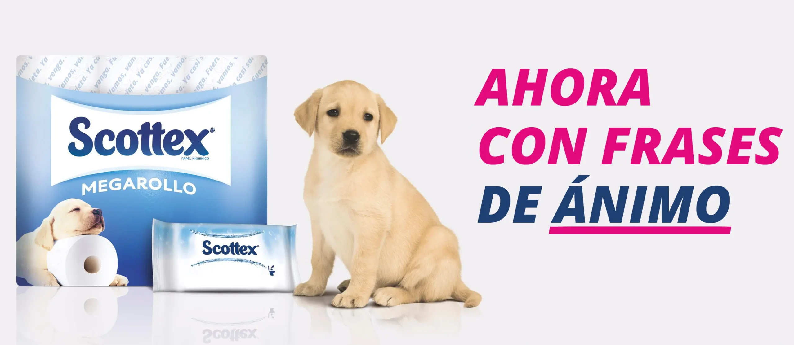 Guía definitiva de anuncios de papel higiénico: colocación, manualidades y comercialización - Qué manualidades puedo hacer con rollos de papel higiénico anuncios de papel higienico - Qué manualidades puedo hacer con rollos de papel higiénico