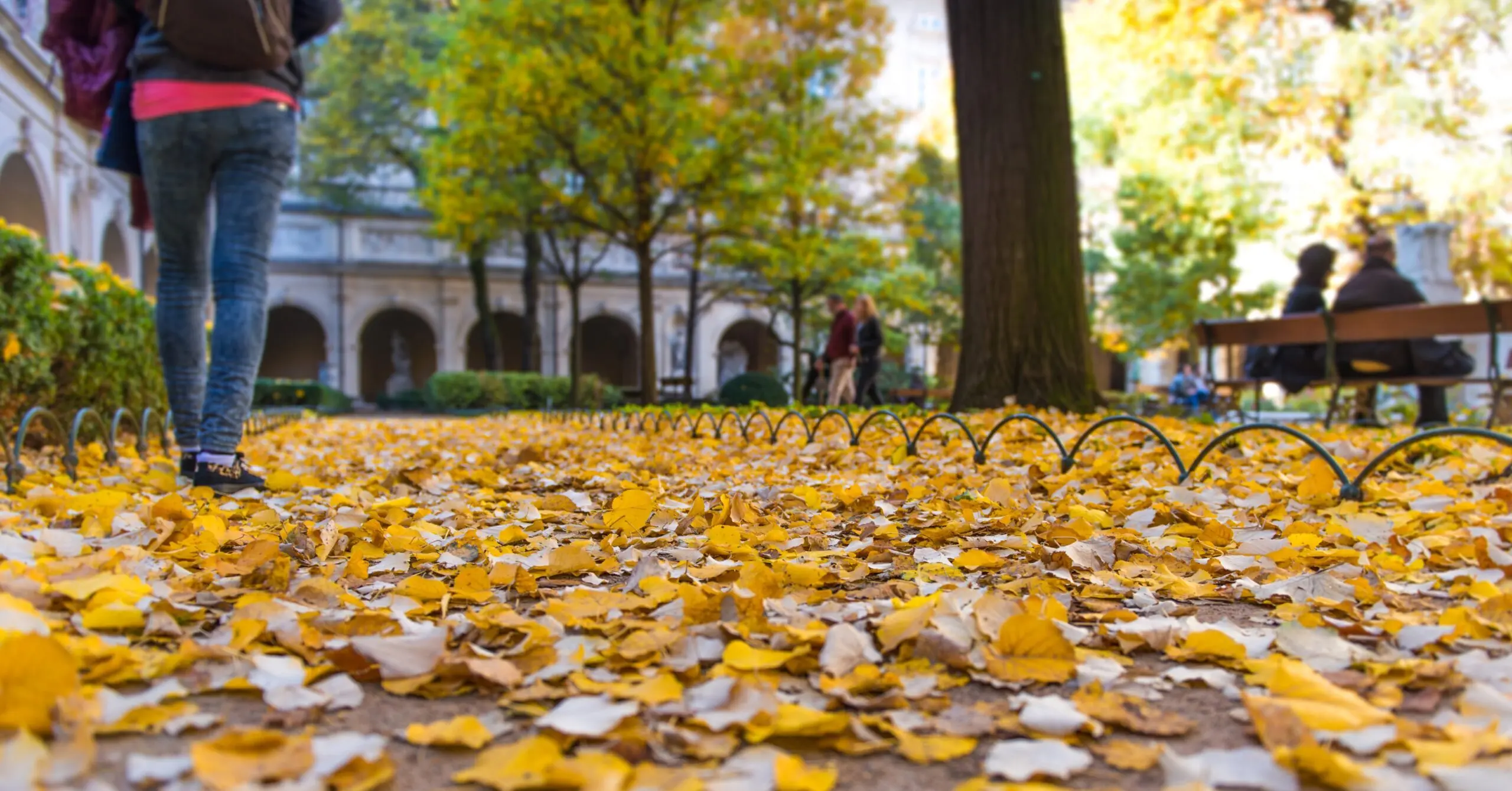 Publicidad Otoño: Guía para una Campaña Exitosa - Qué marca el inicio del otoño publicidad otoño - Qué marca el inicio del otoño