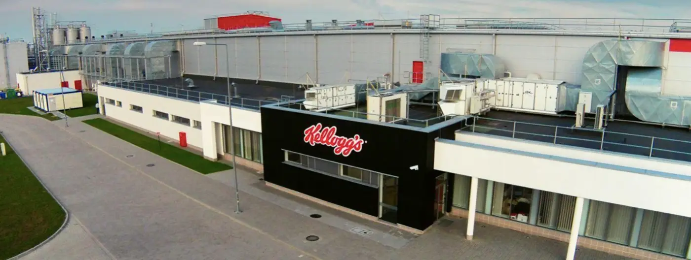 Publicidad de Kellogg's: Historia, Personajes y Estrategias de Marketing - Qué ofrece la empresa Kellogg´s publicidad de kellogs - Qué ofrece la empresa Kellogg´s